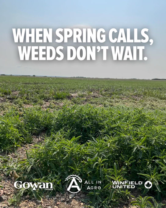 A field with abundant weed growth under a clear sky. Text over the image reads, "When spring calls, weeds don't wait." Logos at the bottom include Gowan Company, All In Agro, and WinField United.