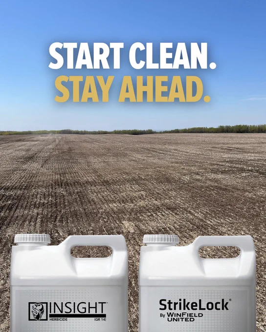Two containers labeled "INSIGHT Herbicide" and "StrikeLock by WinField United" are in the foreground. They are placed on a bare, plowed field under a clear blue sky. The text "START CLEAN. STAY AHEAD." is displayed above in bold letters.