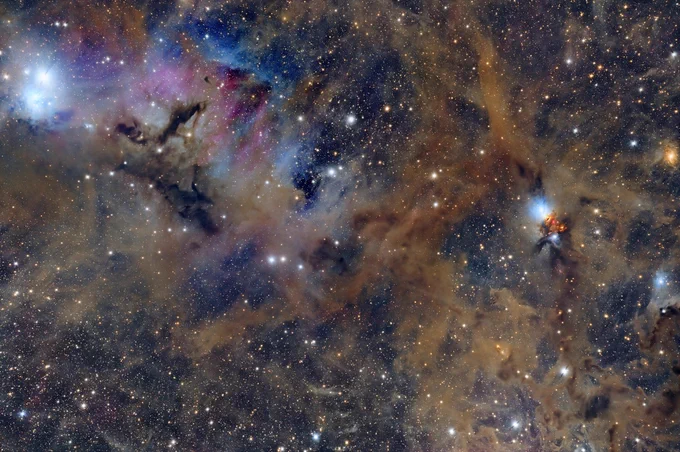  NGC 1333: A stellar nursery shines! ✨ Brian Diaz captured this stunning reflection nebula with Insight Observatory's AFIL-4. Process 33  hrs of Masters-Only data! ➡️ 20% OFF for a limited time!