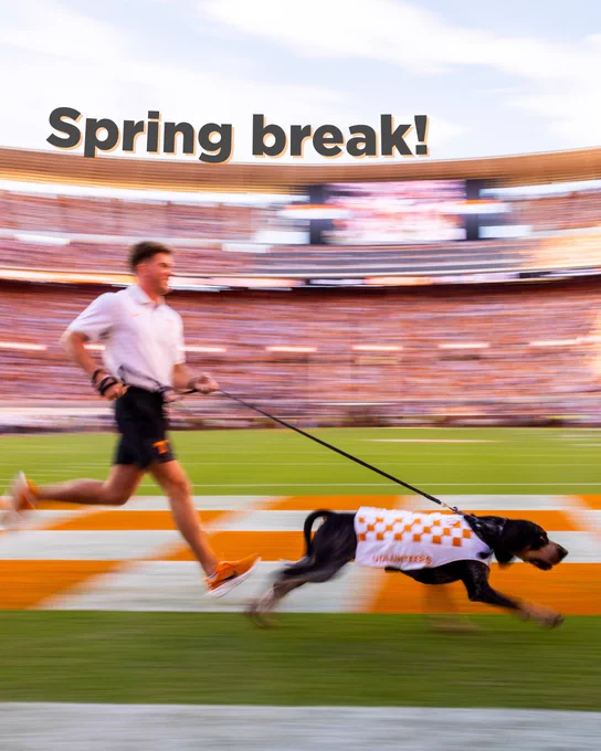 An individual jogging with Smokey, the University of Tennessee, Knoxville, mascot dog, across a football field with the text 'Spring break!' displayed above.