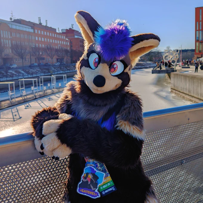Satchel in fursuit at NFC 2026. He's standing on the iconic bridge near the hotel in Malmo, resting one arm on the handrail and looking to the camera. The river and city walk are behind him.