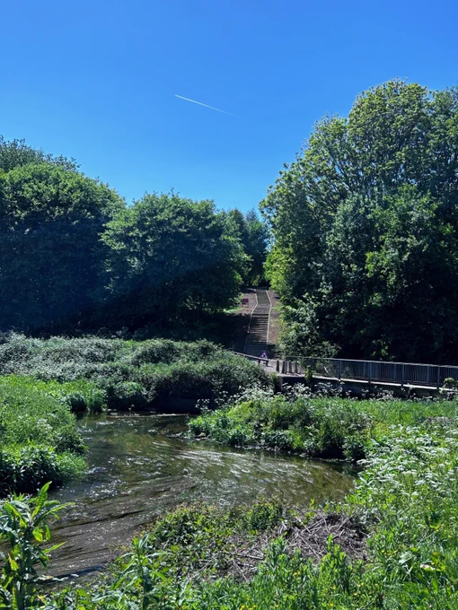 A scenic view of Wince Brook in Middleton with a lush, green landscape. A wooden bridge crosses over a gentle stream surrounded by dense foliage. A clear blue sky forms the backdrop with a single contrail visible.
