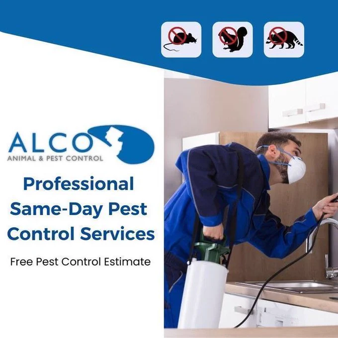 Rat Removal in NJ
