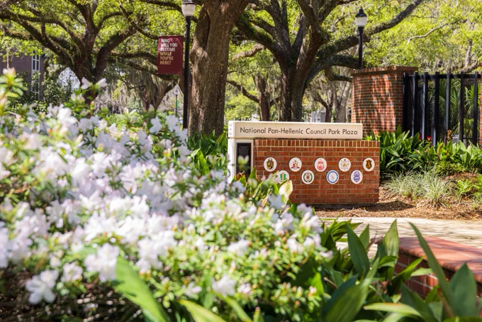 The sign of the National Pan-Hellenic Council Park Plaza with white flowers blooming in the foreground