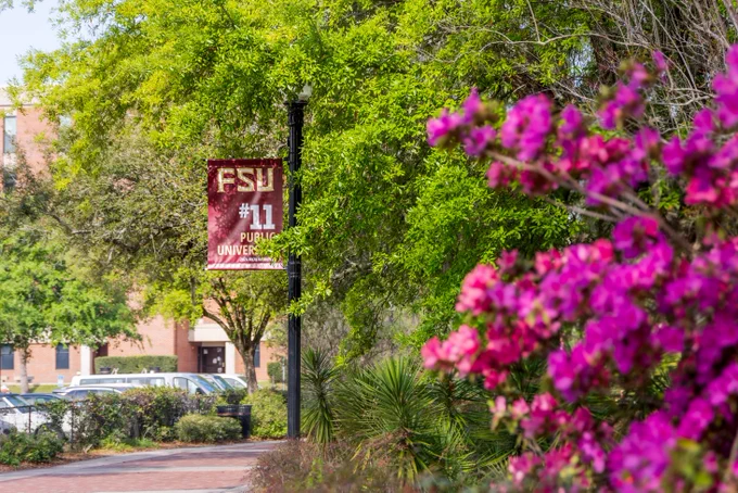 A banner that reads "FSU #11 public university" with pink flowers blurred in the foreground 