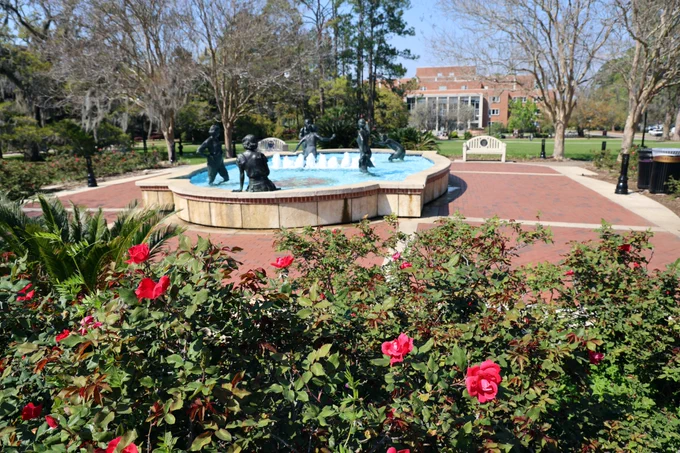 Roses in front of Legacy Fountain on Landis Green at Florida State University.