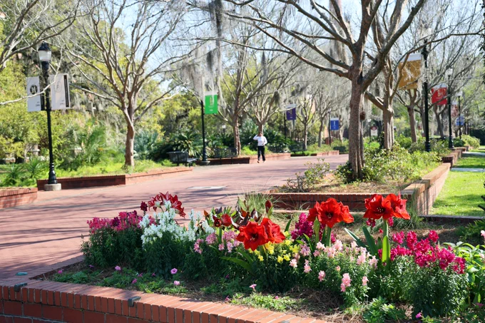 Flowers on Legacy Walk at Florida State University.