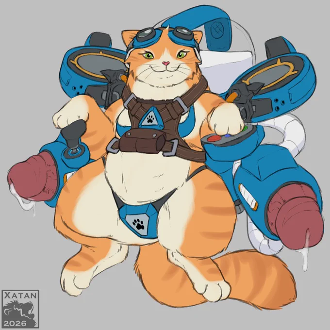 Fika, Overwatch