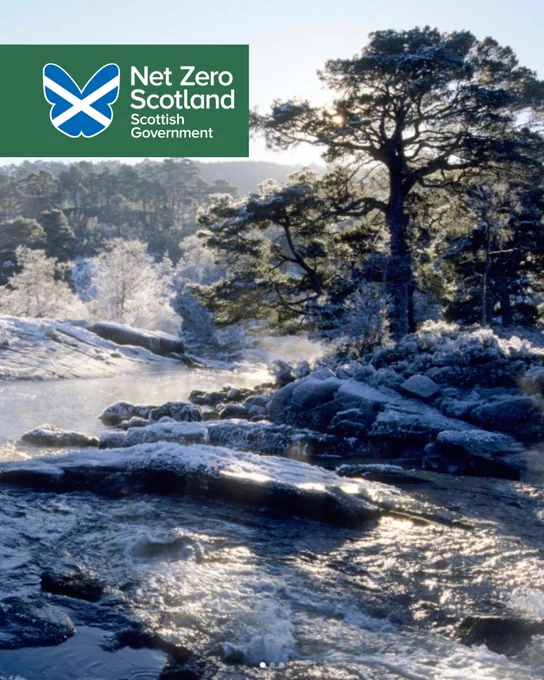 Image of water stream within forest in winter with frost.