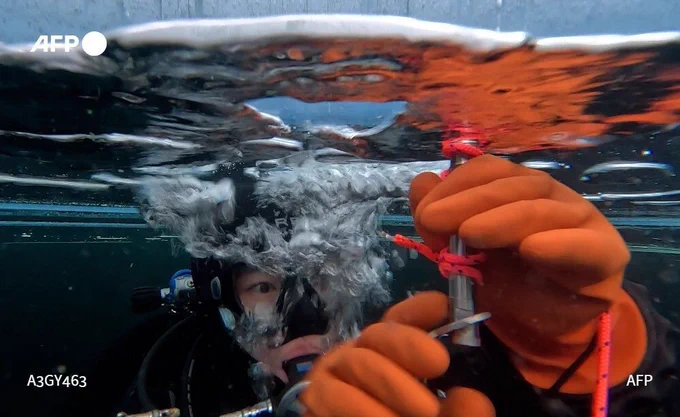 A participant in the Polar Scientific Diving programme takes ice samples during a 45-minute-long diving session, at the Kilpisjaervi Biological Station in Finland, on March 14, 2026
