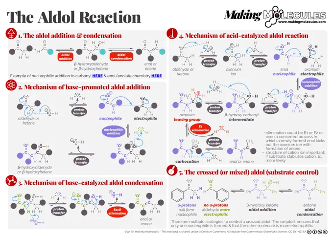 A summary or introduction to the aldol reaction. It shows the general reaction with both the aldol addition and the aldol condensation. This is followed by the curly arrow mechanism for the base-promoted aldol addition and the base-promoted aldol condensation. After that, there is, of course, the acid-catalysed version.
Finally, I mention the crossed or mixed aldol and allude to the fact that selectivity can become an issue.