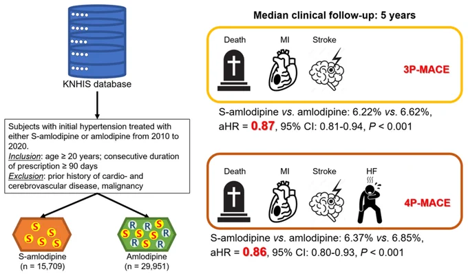 In a nationwide Korean cohort (~45k patients, ~5-year follow-up), S-amlodipine was associated with lower risks of MACE (death, MI, stroke ± HF hospitalization) and slightly better adherence compared with racemic amlodipine. Observational data—but intriguing signals. Thoughts from the community?