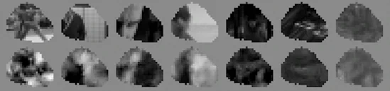 Movies alongside their reconstructions generated directly from neural activity