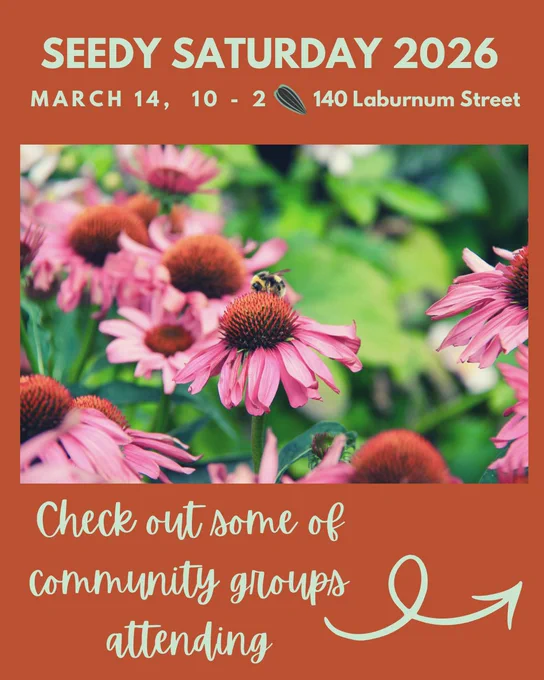 A photo of a bumblebee on a echinacea flower, has text above it which says, “Seedy Saturday 2026, March 14, 10 to 2, 140 Lanburnum Street.” Below the photo is a banner with text that says, “Check out some of the community groups attending,” with an arrow spiralling to the right.