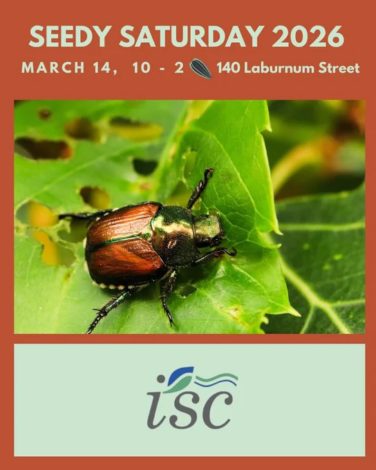 A photo of a Japanese beetle, has text above it which says, “Seedy Saturday 2026, March 14, 10 to 2, 140 Lanburnum Street.” Below the photo is a banner with the logo Invasive Species Council of BC.
