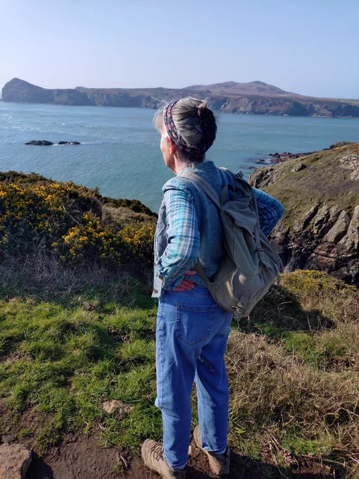 Image of a person looking at a view