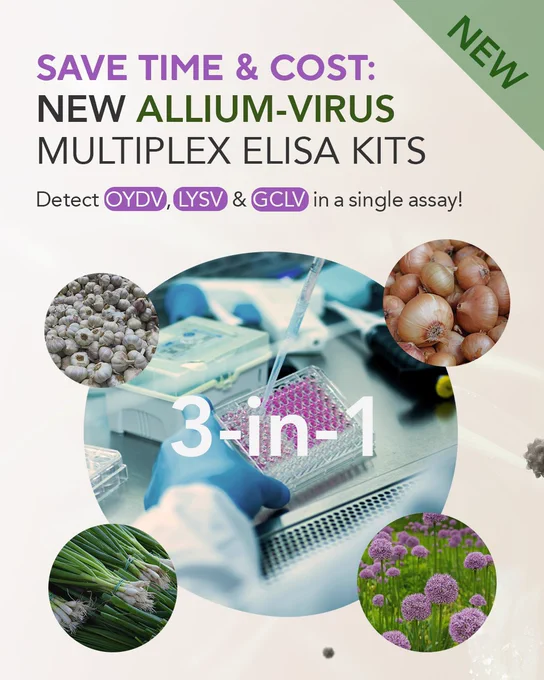 Multiplex 3-in-1 DAS-ELISA to detect OYDV, LYSV & GCLV in a single assay