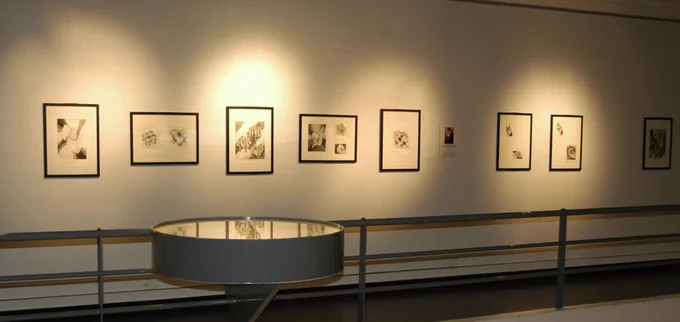 Vue de 8 dessins de Patrice Jeener sur le balcon des mathématiques au Palais de la découverte (avant sa fermeture pour rénovation).