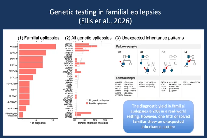 Figure. Genetic testing in familial epilepsies in 484 consecutive families evaluated through ENGIN, our epilepsy genetics program. (1) Bar chart showing the number of diagnoses per gene among solved familial epilepsy cases. KCNQ2, NPRL3, and PRRT2 were the most frequently identified etiologies, with 46 additional genes identified in single families each. (2) Comparative bar chart showing the proportion of each gene among all genetic epilepsies versus the familial epilepsy subset, highlighting enrichment of dominantly inherited, incompletely penetrant genes including SCN1A, DEPDC5, and NPRL3. (3) Pedigree examples illustrating unexpected inheritance patterns, including de novo variants, bi-lineal inheritance, and parental mosaicism, with corresponding genetic etiologies listed. The overall diagnostic yield was 20%, and approximately one-fifth of solved families showed an inheritance pattern inconsistent with the presenting pedigree (Figure adapted from Ellis et al., 2026).