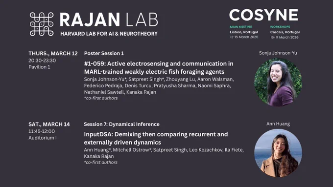 Rajan Lab at Cosyne
Thurs., March 12 20:30-23:30 Pavilion 1 Poster Session 1
#1-059: Active electrosensing and communication in MARL-trained weakly electric fish foraging agents
Sonja Johnson-Yu*, Satpreet Singh*, Zhouyang Lu, Aaron Walsman, Federico Pedraja, Denis Turcu, Pratyusha Sharma, Naomi Saphra, Nathaniel Sawtell, Kanaka Rajan
*co-first authors
Sat., March 14 11:45-12:00 Auditorium I Session 7: Dynamical Inference
InputDSA: Demixing then comparing recurrent and externally driven dynamics
Ann Huang*, Mitchell Ostrow*, Satpreet Singh, Leo Kozachkov, Ila Fiete, Kanaka Rajan
*co-first authors