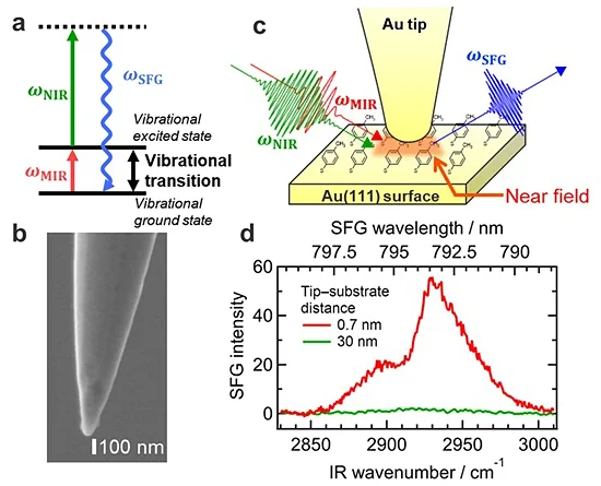 a. Energy diagram of vibrational sum-frequency generation (SFG) process. Simultaneous irradiation of vibrationally resonant mid-infrared and non-resonant near-infrared light generates SFG light at the sum frequency of the two incident beams.
b. Magnified view of a nanoscale sharp gold tip apex used in the experiments. The curvature radius of the apex is ∼50 nm.
c. Schematic depiction of tip-enhanced SFG (TE-SFG) experiment. The incident mid- and near-infrared femtosecond laser pulses are confined and enhanced by the optical near-field generated within the STM nanogap, enabling the detection of SFG signals originating from a nanoscale molecular system beneath the tip apex.
d. SFG spectra obtained with the tip-substrate separation of ∼30 nm (green) and 0.7 nm (red). While almost no signal is observed at a separation of ∼30 nm, reducing the gap to ∼0.7 nm induces strong near-field enhancement and yields large SFG signals. The distortion in the spectral shape observed around ∼2930 cm-1 reg