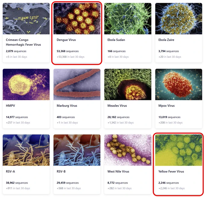 A screenshot of the new Pathoplexus homepage showing all viruses now supported, including Dengue and Yellow Fever, which are circled in red