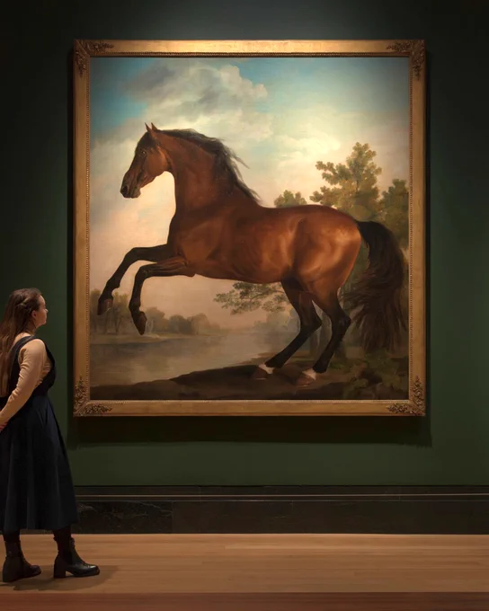 A person stands in front of the painting "Scrub" by George Stubbs displayed in a gallery. The painting features a large, lifelike horse rearing up against a landscape background.