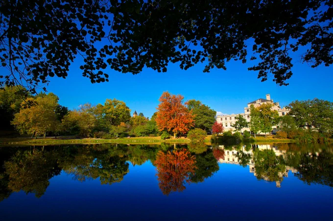 Trees reflecting in the blue water of Lake LaVerne with the Memorial Union in the background.