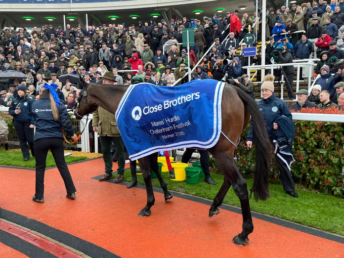 Cheltenham Race winner pic 1