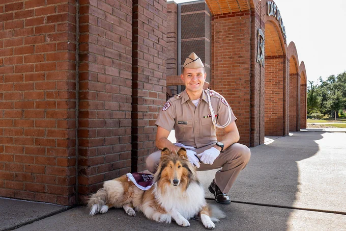 Certainly! Here's a suitable alt text description:

"A person in uniform kneels beside a collie dog at the entrance of the Texas A&M Memorial Student Center."