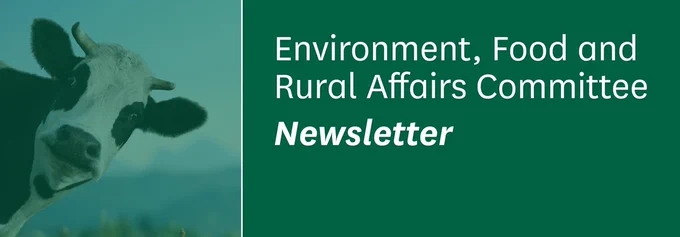 Image of a cow with white text on a green background reading: Environment, food and rural affairs committee newsletter