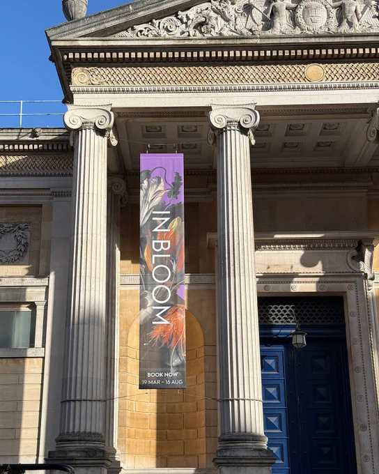 The Ashmolean Museum in the sunlight