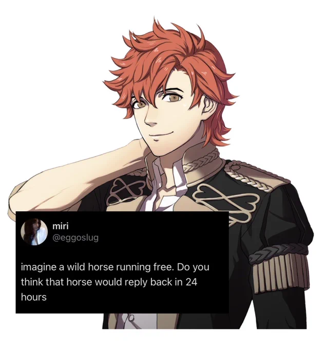 pre ts sylvain with a post from eggoslug overlaid 

imagine a wild horse running free. Do you think that horse would reply back in 24 hours