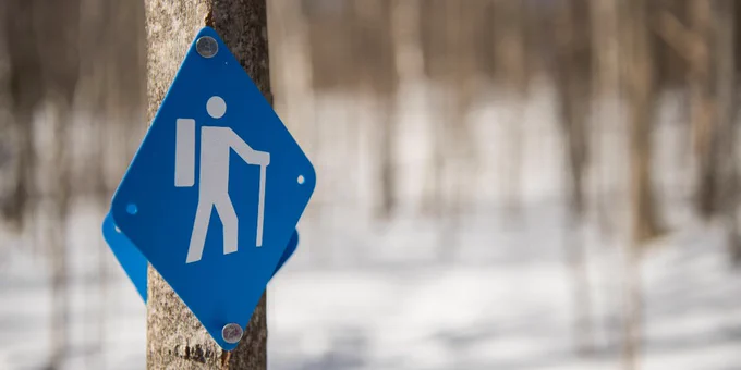 a blue sign with a white hiker image in the centre indicating a hiking trail, secured to a small tree.