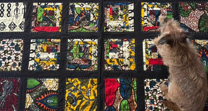 A small dog with wiry fur lies on a colourful patchwork quilt. The quilt is made up of square blocks framed in black, featuring bright patterns in red, yellow, blue and green with abstract shapes and bold designs. The dog is positioned in the lower right corner, resting on the quilt and looking toward the patterned squares.