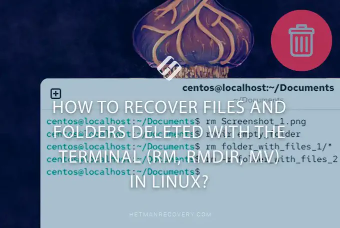 How to Recover Files and Folders Deleted with the Terminal (rm, rmdir, mv) in Linux