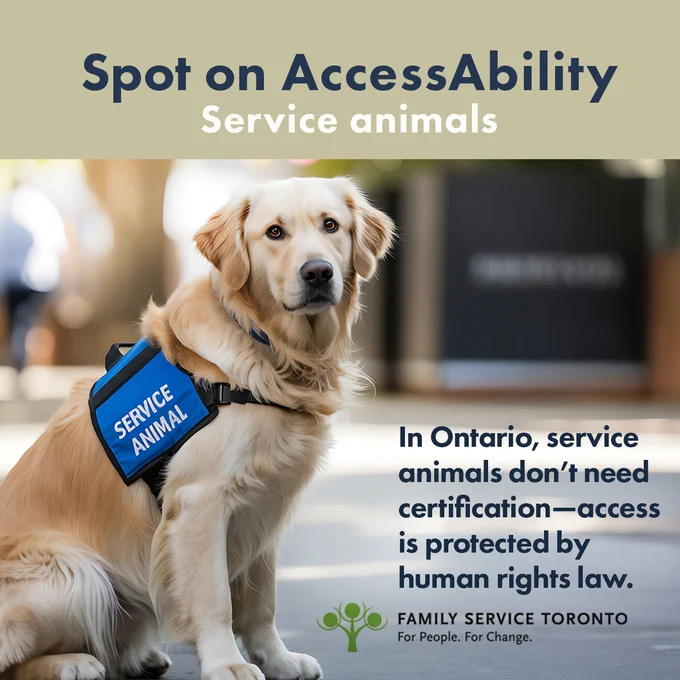 Image shows  a dog wearing a service animal harness. Text reads:
On top: Spot on AccessAbility - Service Animals
In Ontario, service animals don’t need certification—
access is protected by human rights law.
Family Service Toronto logo is included at the bottom