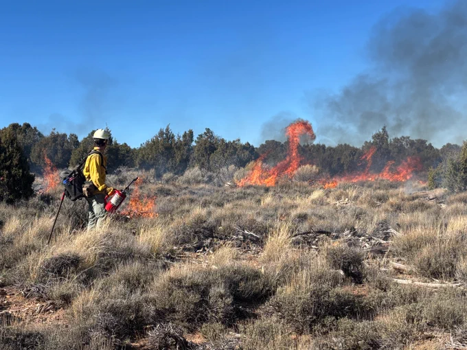 A wildland firefighter monitors the size and movement of flames during a prescribed burn.