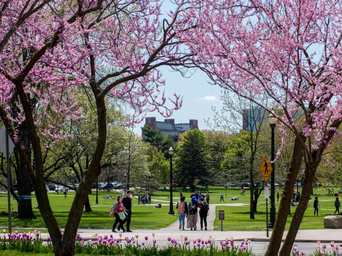 The Ohio State University oval spring semester.