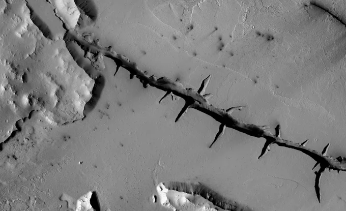 A a desert plain, seen from above, crossed by a deep, linear crack with short branches on either side