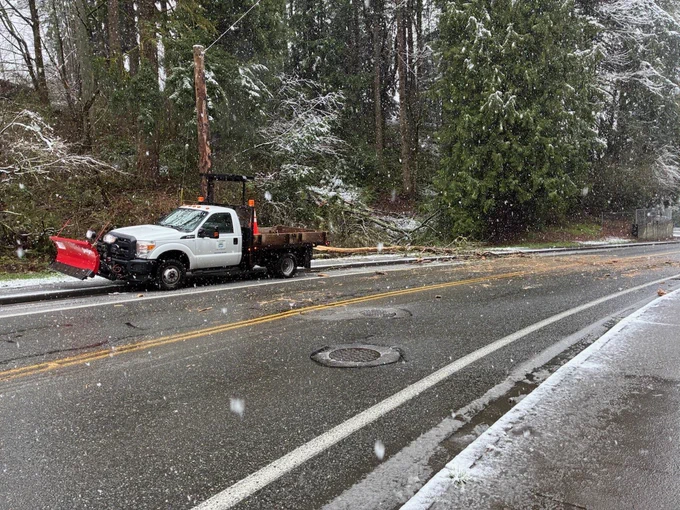 A City of Bothell Public Works truck with a snowplow blade attached at the front is parked near a downed tree in a roadway.