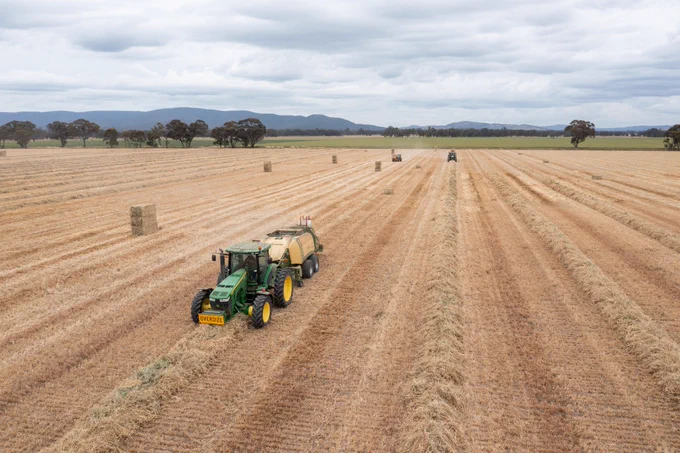 Green tractor pulling a baler machine creating large rectangular hay bales in a vast golden field under a cloudy sky. The AgriFutures Export Fodder Program is seeking industry professionals to join the Export Fodder Advisory Panel.