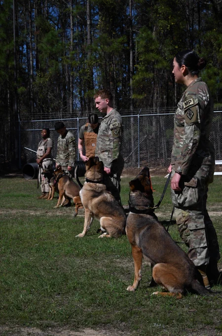 Mitlitary Working Dogs at Fort Jackson for K9 Veteran's Day - March 13, 2026