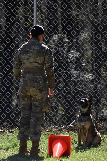 Mitlitary Working Dogs at Fort Jackson for K9 Veteran's Day - March 13, 2026