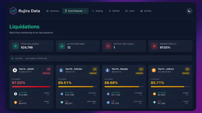 Real-time liquidation monitoring displays total collateral, active positions, and critical risk stats for various assets.