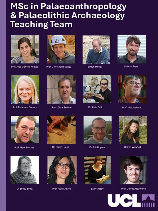 MSc in Palaeoanthropology & Palaeolithic Archaeology Teaching Team
Prof. Aida Gomez-Robles
Prof. Christophe Soligo
Simon Parfitt
Prof. Rhiannon Stevens
Prof. Chris Stringer
Dr Silvia Bello
Prof. Nick Ashton
Prof. Mark Thomas
Dr. Claire Lucas
Dr Phil Hopley
Caitlin Withnell
Dr Beccy Scott
Prof. Aida Andres
Letty Ingrey 
Prof. Garrett Hellenthal
Dr Matt Pope
