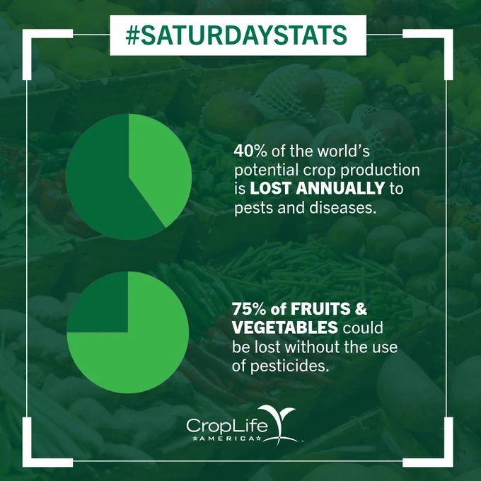 #PiDay #SaturdayStats
