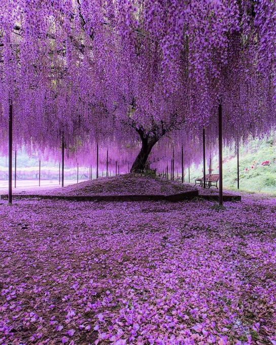 Photography by 📸 godive2000
