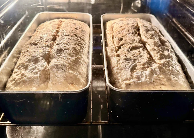 2 loaves just went into the oven, light in colour and no crust formed yet