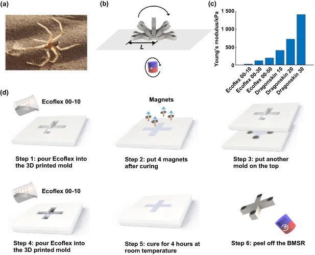 Bio-inspired magnetic soft robots with omnidirectional climbing for multifunctional biomedical applications